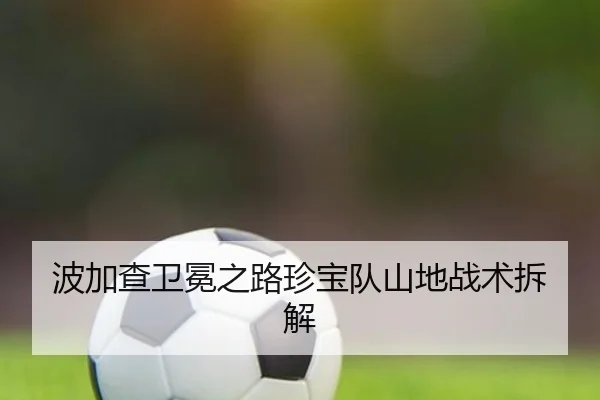 波加查卫冕之路珍宝队山地战术拆解