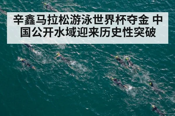 辛鑫马拉松游泳世界杯夺金 中国公开水域迎来历史性突破