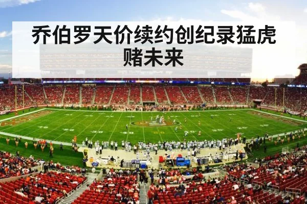 NFL football stadium